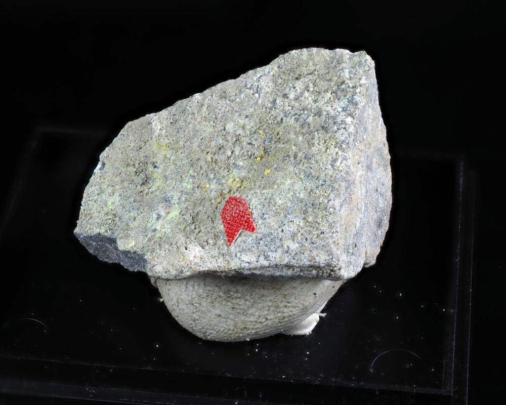 Alwilkinsite-(Y)